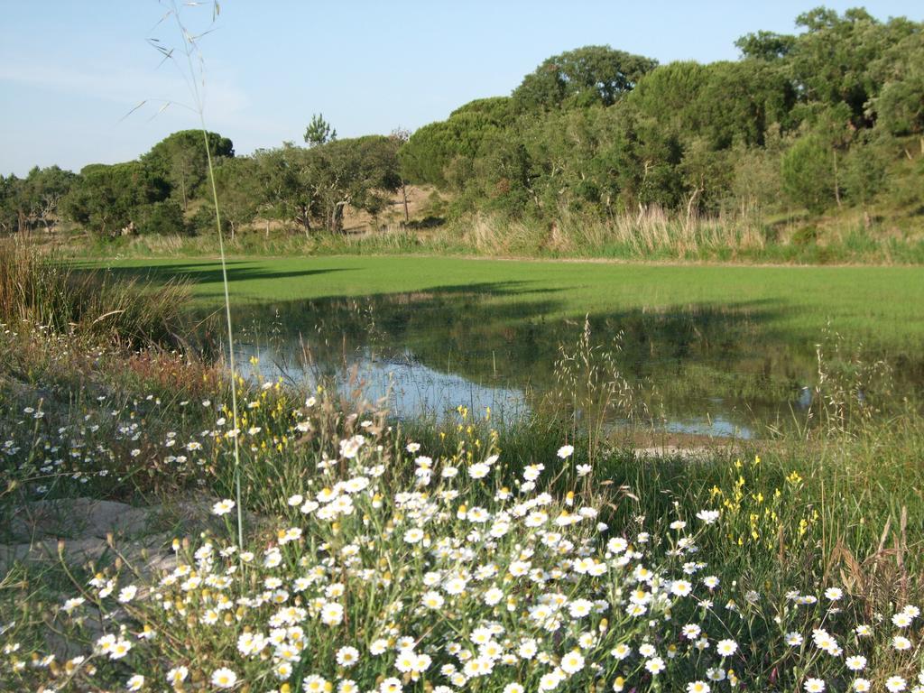 Alcácer do Sal Herdades Da Ameira - Monte Do Arrozal חדר תמונה