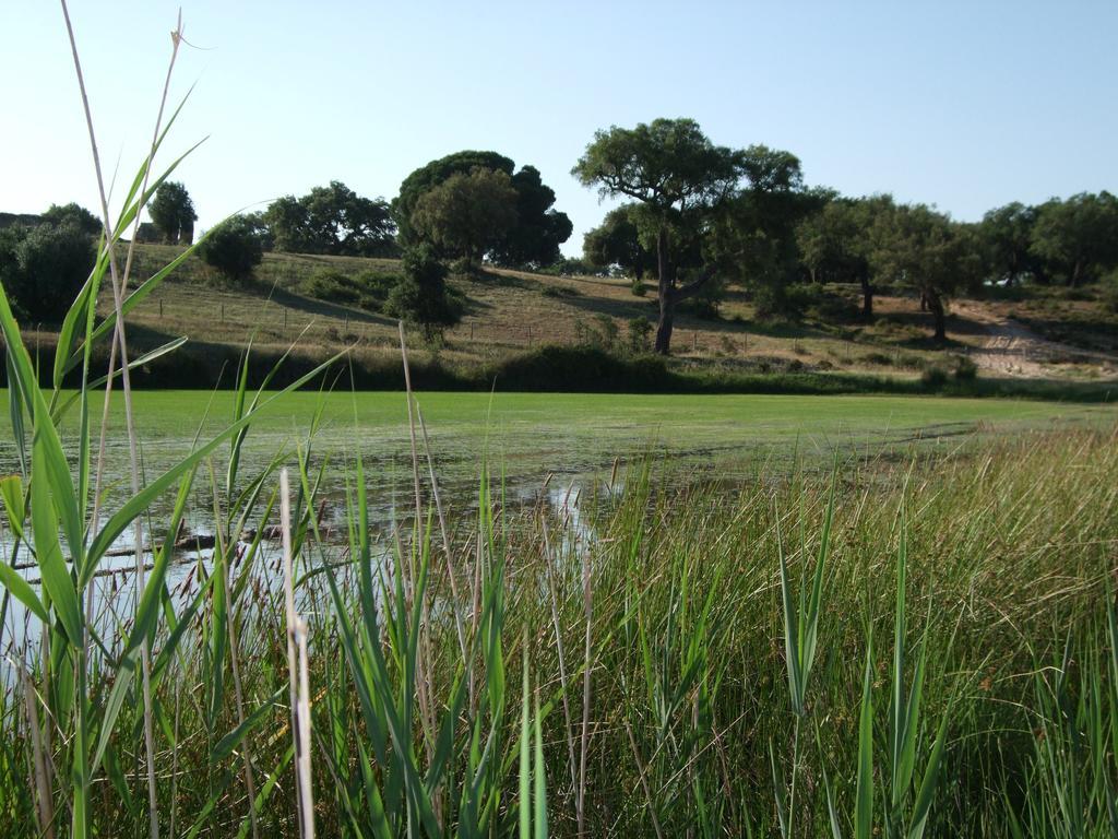 Alcácer do Sal Herdades Da Ameira - Monte Do Arrozal חדר תמונה